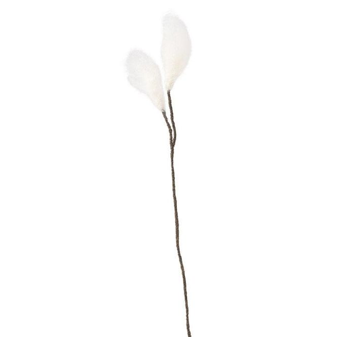 Hovedbilde Aveva - Endless flower - Cottongrass