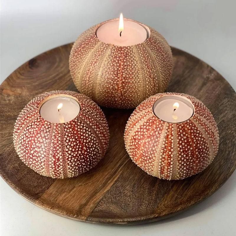 Nyt Lofoten - Kråkebollelys stor