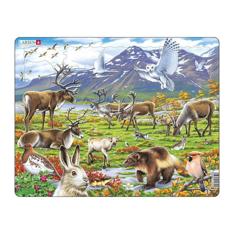 Puslespill - Norsk fauna