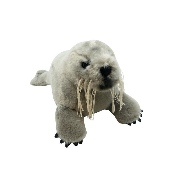 Hovedbilde Polaria - Storkobben Bella