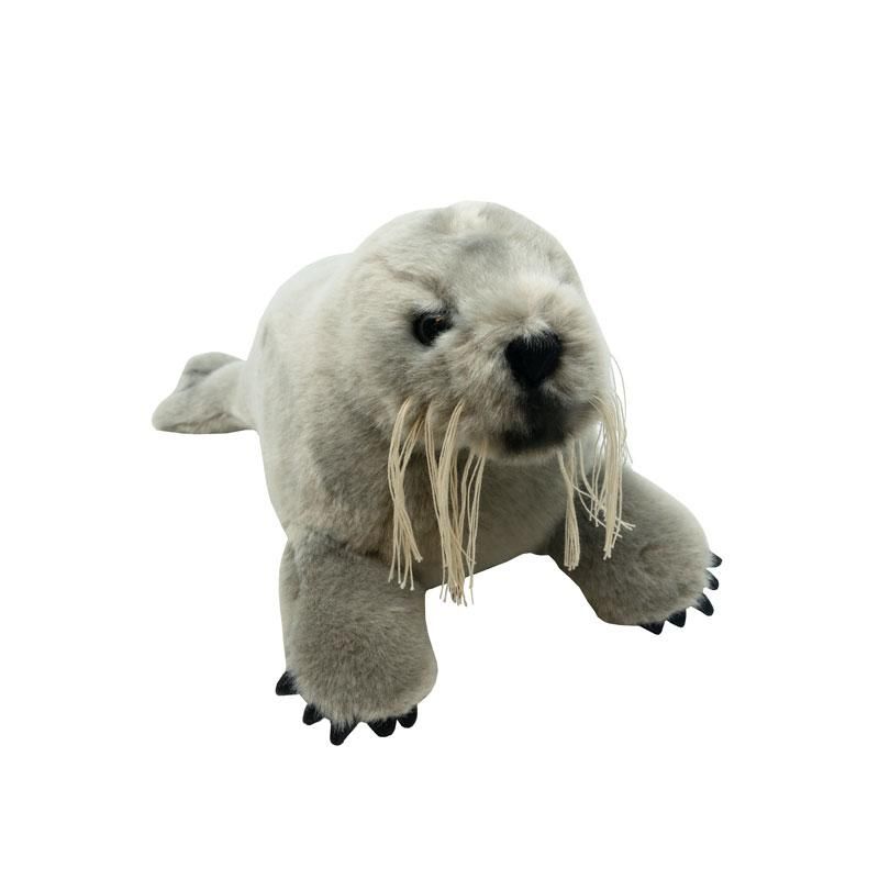 Polaria - Storkobben Bella