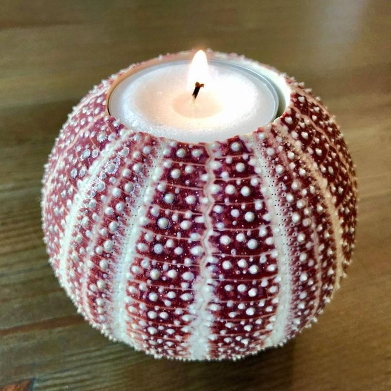 Nyt Lofoten - Kråkebollelys liten