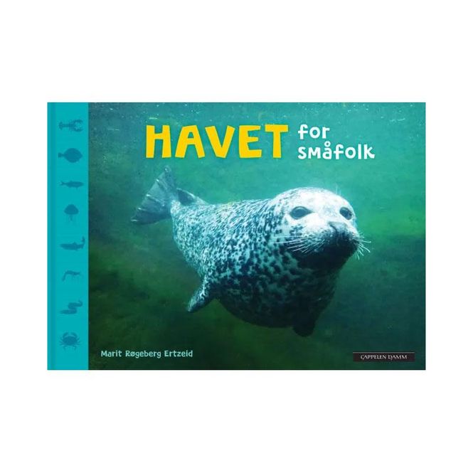 Hovedbilde Havet for småfolk