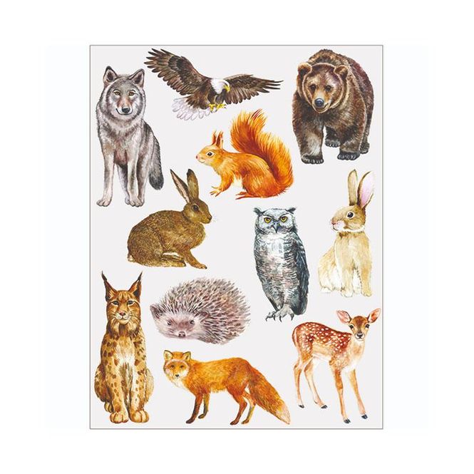 Hovedbilde Nature Planet - Tatovering - Villmark