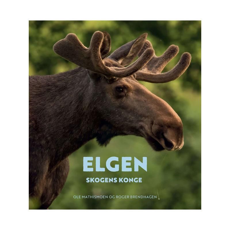 Norges ville dyr - Elgen