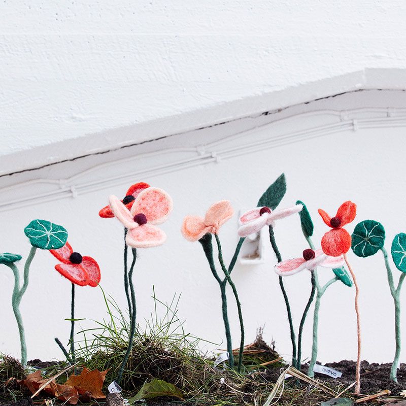 Aveva - Endless flower - Stephania