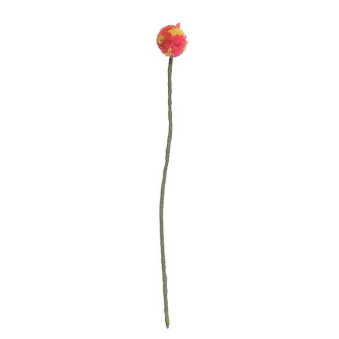 Hovedbilde Aveva - Endless flower - Pom Pom thistle S ...